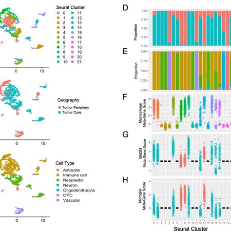 Umap Clustering Of Single Cell Data With Seurat Cells Are Clustered In Download Scientific