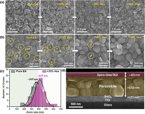 A Lowmagnification And B Highmagnification Topview Fesem Images Of