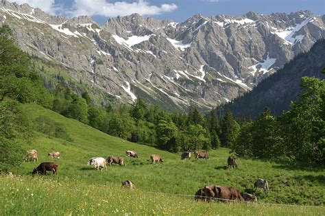 Naturschutzgebiet Allg Uer Hochalpen Mit Bad Hindelang Und Oberstdorf