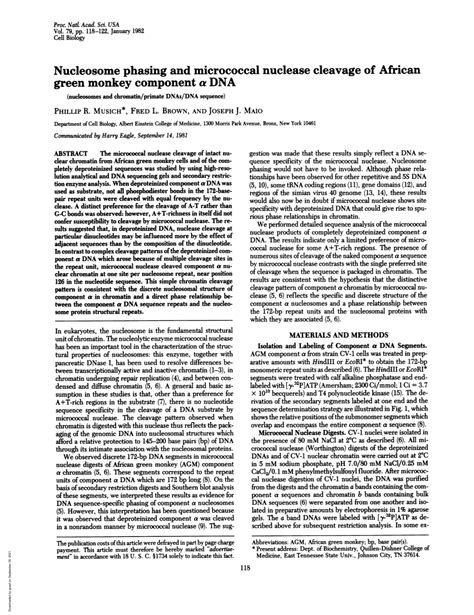 Nucleosome Phasing And Micrococcal Nuclease Cleavage Of African Green