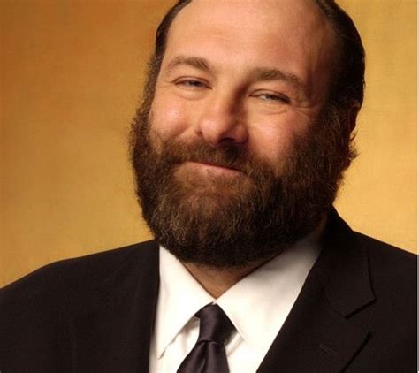 James Gandolfini Scruffy Men Hairy Men Handsome Men Bearded Men