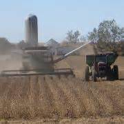 Oilseed Crops for Biodiesel Production – Farm Energy