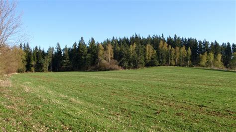 Immagini Belle Albero Natura Selvaggia Montagna Cielo Sole Campo