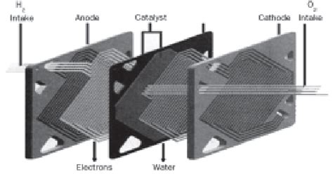 Proton exchange membrane [9]. | Download Scientific Diagram