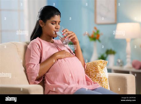 Indian Pregnant Woman Drinking Water While Sitting On Sofa At Home Concept Of Hydration