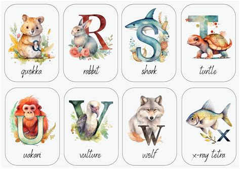 Abc Flashcards / Abc and Animal / Flashcards for Kids / Abc - Etsy