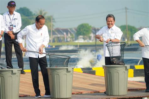 Presiden Jokowi Resmikan Modeling Kawasan Tambak Budidaya Nila Salin Di