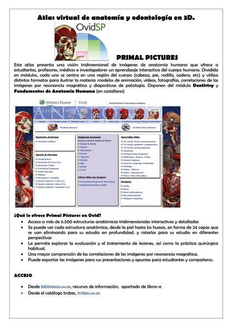 Pdf Atlas Virtual De Anatom A Y Odontolog A En D Primal Pdf File