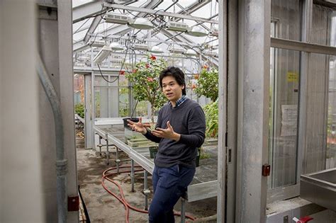 Researchers develop 'bionic leaf' for distributed agriculture