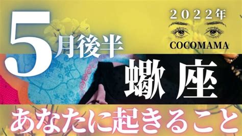 蠍座♏️ 【5月後半 あなたに起きること】2022年 ココママの個人鑑定級タロット占い 高次元のメッセージを毎月配信 Lifeee占い動画