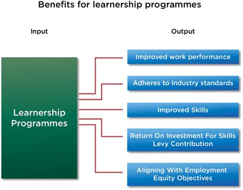 Why Do You As An Employer Need To Invest In Learnership Programmes