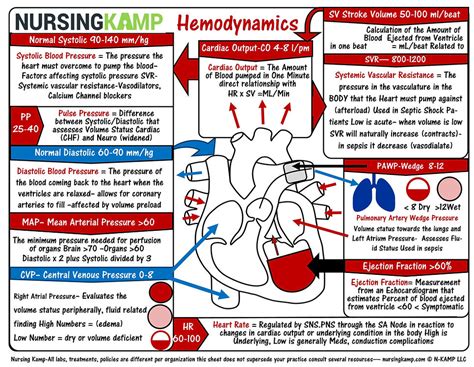 Cardiac Assessment 1 Nursing KAMP Members