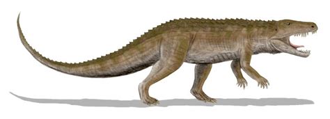 Saurosuchus Vs Postosuchus