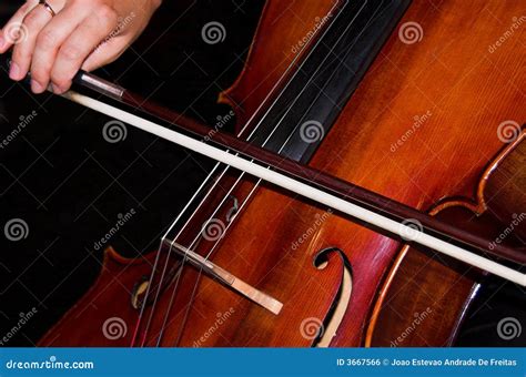 Mani Femminili Che Giocano Violoncello Fotografia Stock Immagine Di