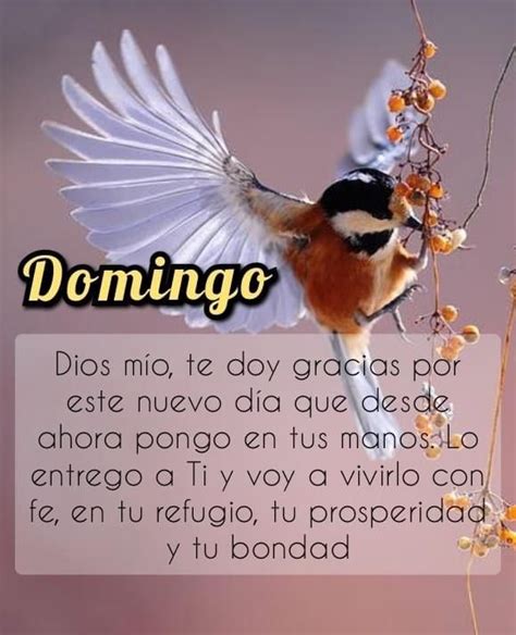 Pin De Yvonne Galicia En Good Morning Afternoon Night Quotes Bondad