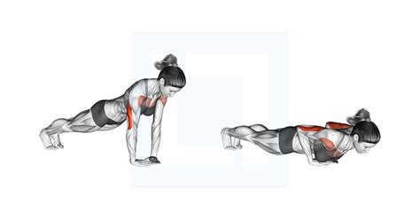 Diamond Push Up Guide Benefits And Form