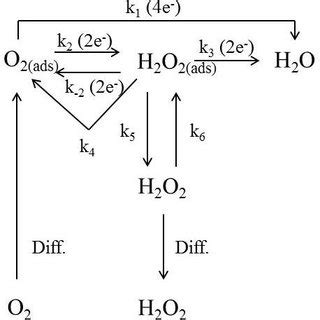 Potential reaction pathways for oxygen reduction to peroxide ...