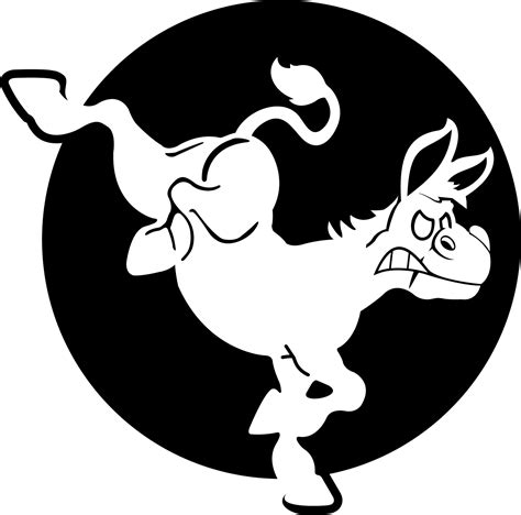Understanding The Biological Results Of Breeding A Male Horse And A Female Donkey For Unique Hybrid Animals 14