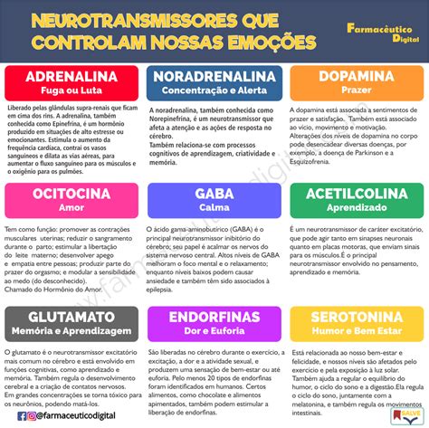 Diferen A Entre Hormonios E Neurotransmissores