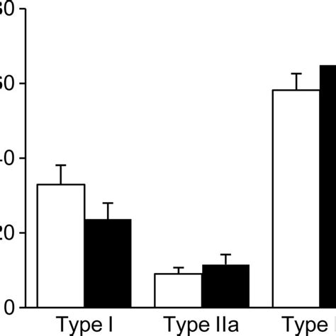 Gastrocnemius Muscle Typology Relative Distribution Of Myosin Heavy