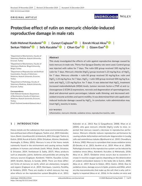 Pdf Protective Effect Of Rutin On Mercuric Chlorideinduced