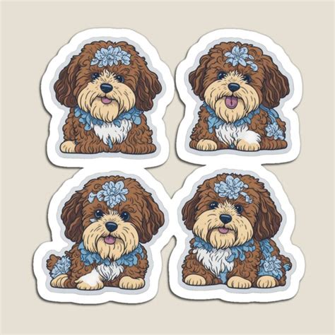 Aussiedoodle Clipart Linsdevasconcellos Org Br