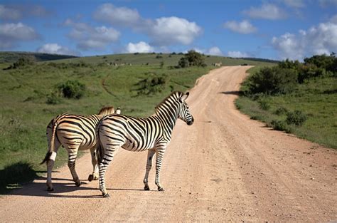 Sud Africa Cosa Vedere Guida Viaggi Informazioni Turistiche Sudafrica