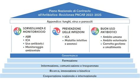 Il Nuovo Pncar E Il Consumo Degli Antibiotici Microbiologia