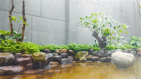 Indoor Garden Design with Pool and Plants. Stock Photo - Image of shrub ...