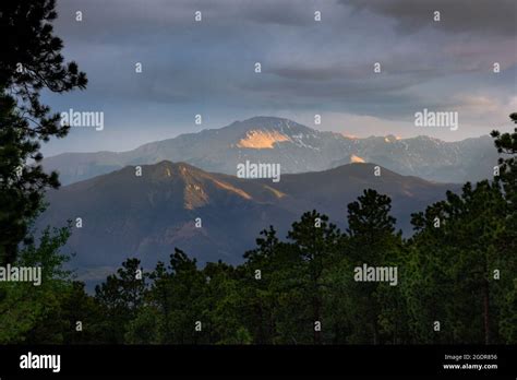 The Last Rays Of The Sun Light Up Pikes Peak Over A Pine Forest In