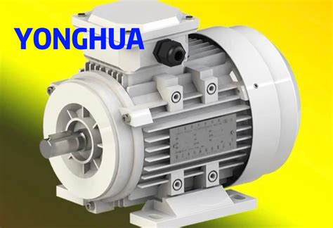 Aluminum Shell Three Phase Asynchronous Motor Heat Fast High