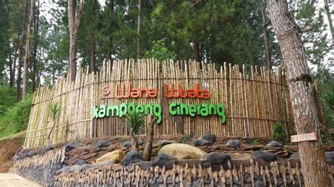 Pesona Wisata Kampoeng Ciherang Di Sumedang Wisata Alam Dengan Banyak