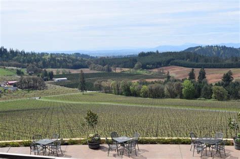 Get To Know Willamette Valley Vineyards Confetti Travel Cafe