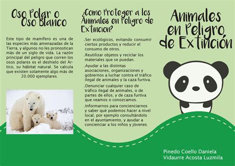 Animales En Peligro De Extinción By Dpinedoc Dpinedoc Issuu