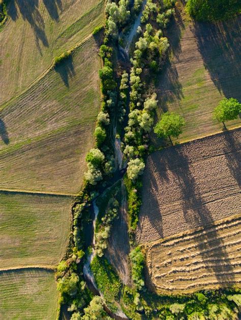 Aerial View of Agricultural Fields · Free Stock Photo