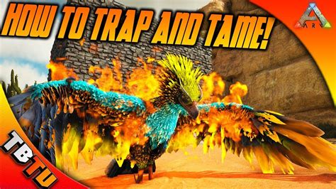 Ark Phoenix Taming How To Trap And Tame The Phoenix Phoenix Trap