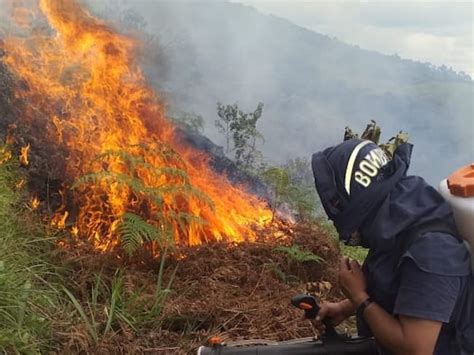 En Alerta Roja Por Incendios Forestales La Situación Es Tensa En 33