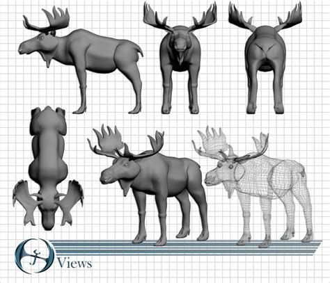 3d moose model