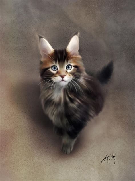 Maine Coon Digital Drawing By Lunaroveda On Deviantart