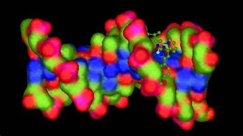 Molecular Docked Model Of Complex 1 Located Within The Hydrophobic