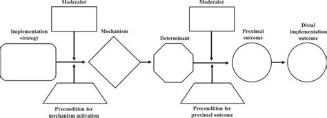 Causal Pathway Diagram Template Note The Number And Placement Of