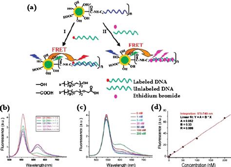 Dna Hybridization Detection By Eg 3 Oh Eg 3 Download Scientific Diagram