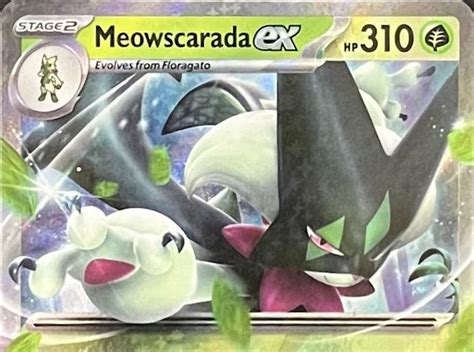 POKEMON TCG VELMI VZÁCNÁ MEOWSCARADA EX 015 193 PALDEA EVOLVED Aukro