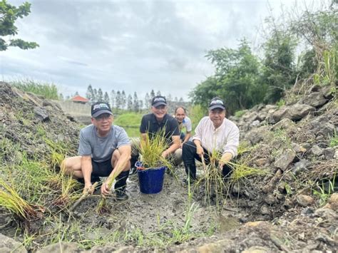 荸薺故鄉風華再現 澎湖湖西公所與台電聯手復育農業 僑務電子報