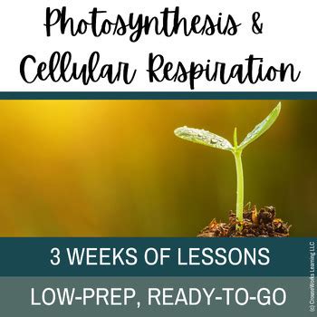 Photosynthesis And Cellular Respiration Bundled Lesson By Crouseworks