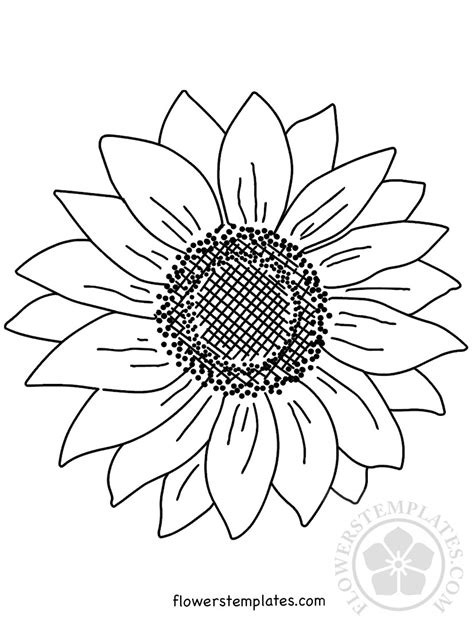 Large Sunflower3 Flowers Templates