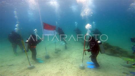 Pengibaran Bendera Merah Putih Di Dasar Laut Raja Ampat Antara Foto