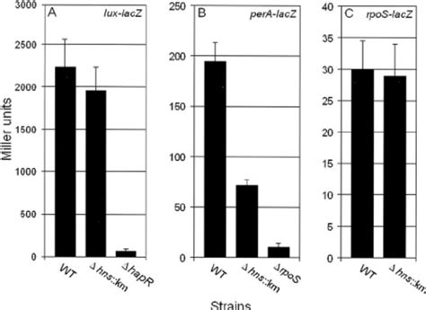 Expression Of Hapr And Rpos Reporter Lacz Fusions In V Cholerae Hns