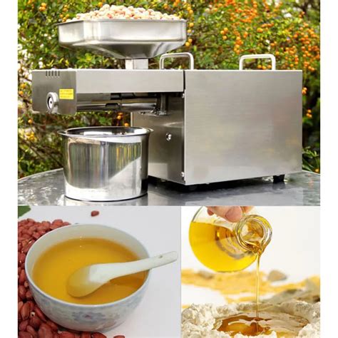 Automatic Stainless Steel Cold Press Oil Machine Coconut Oil Press