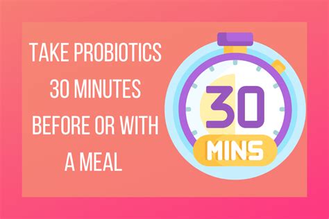 The Best Time To Take Probiotics For Good Gut Health The Ibs Diaries